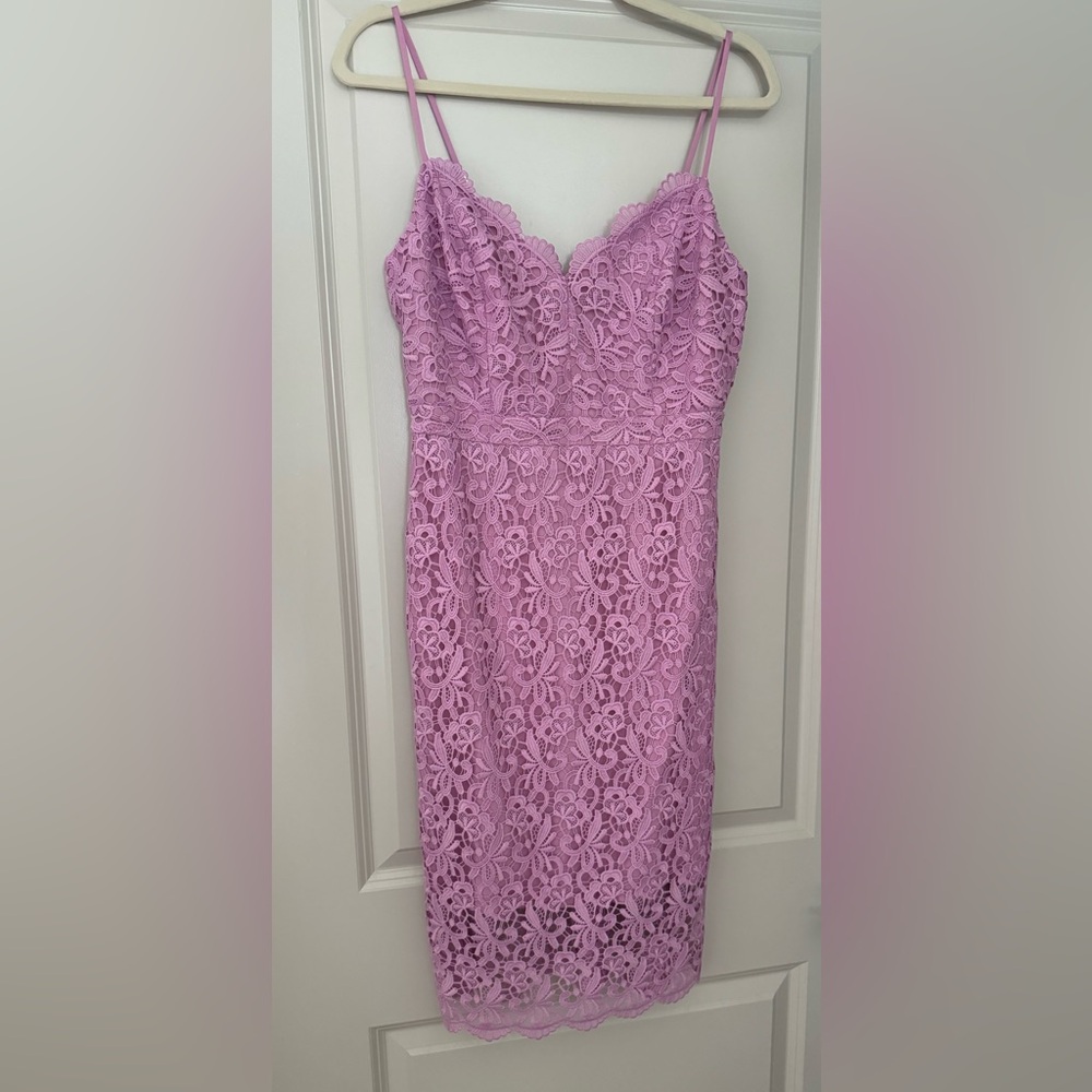 Pink J. Crew Lace Dress- Size 4